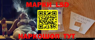 гашик Новодвинск