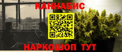 гашик Новодвинск