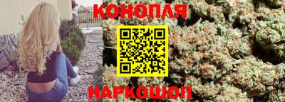 гашик Новодвинск